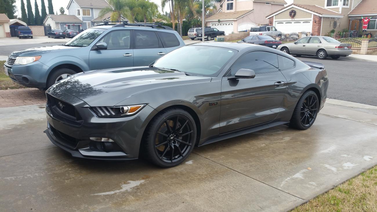 Mustang.jpg