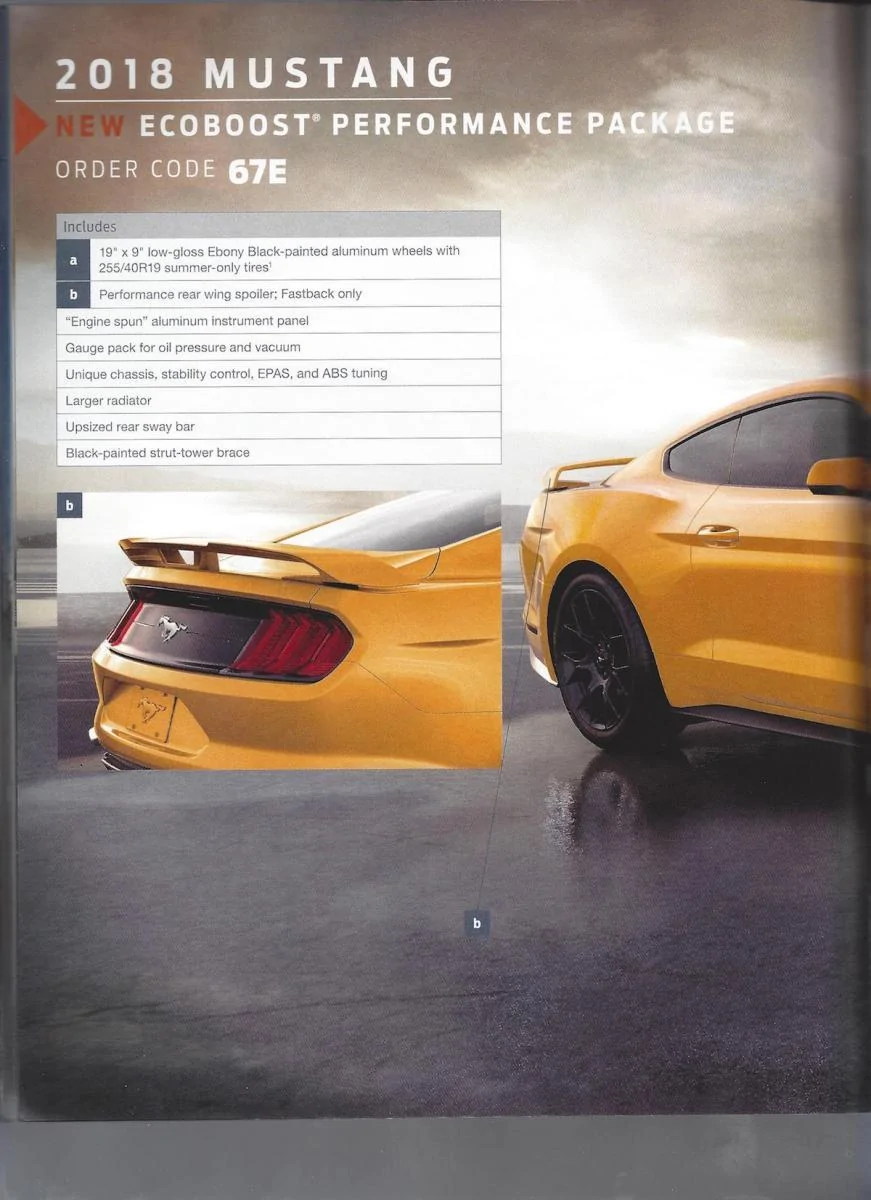 order comp 7 copy.webp