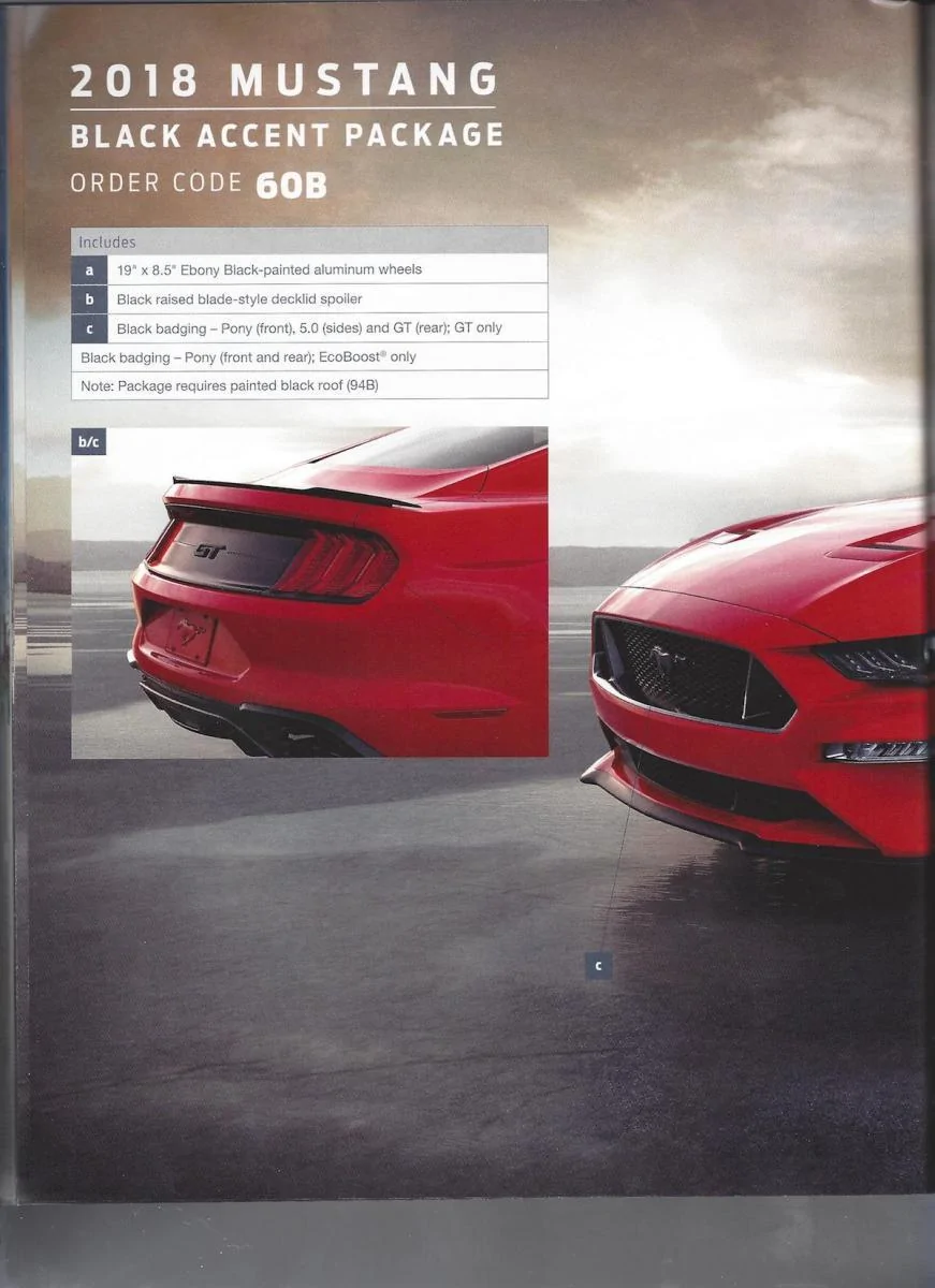 order comp 11 copy.webp