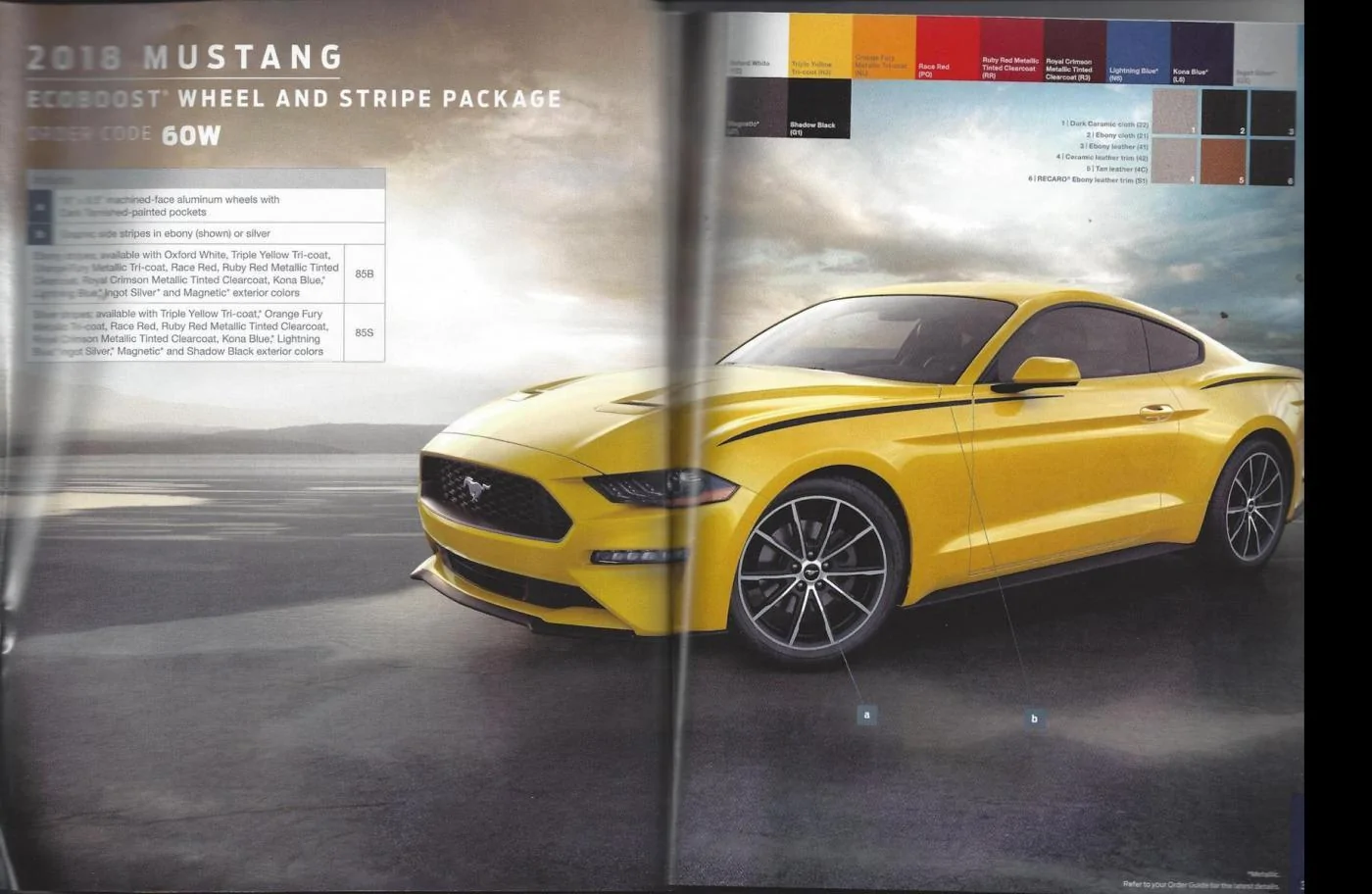 ecoboost_wheelstripe.webp