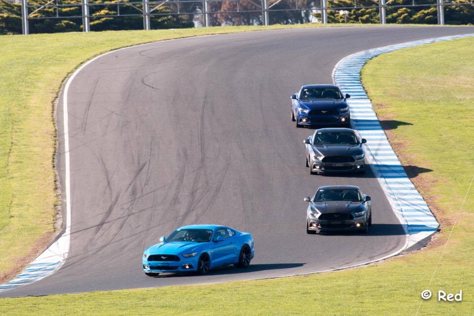 Phillip Island 3.jpg
