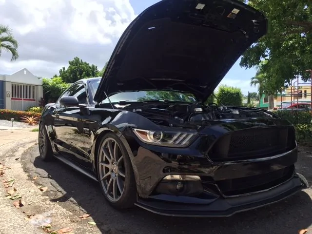 Stang.webp