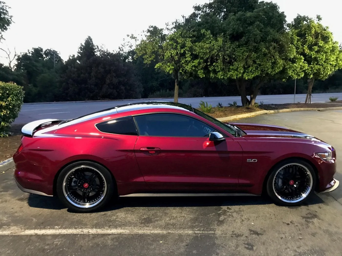 car pic 2a.webp