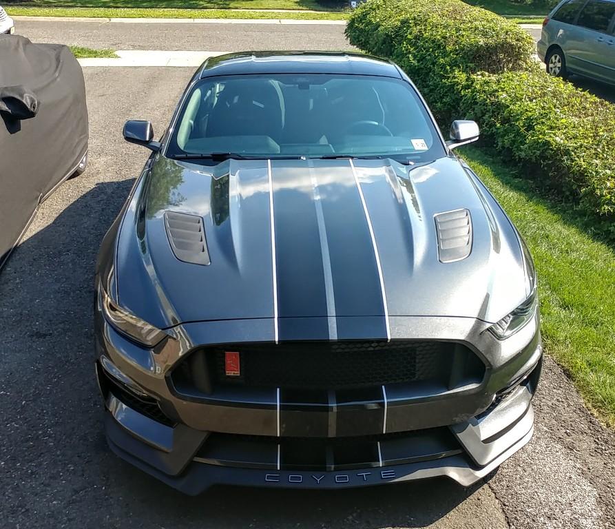 stripes-2.jpg
