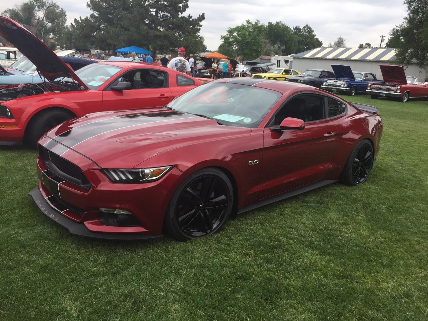 RR 7.jpg