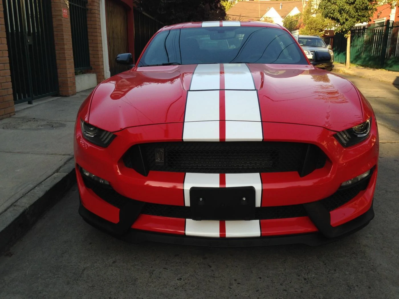 image2.webp