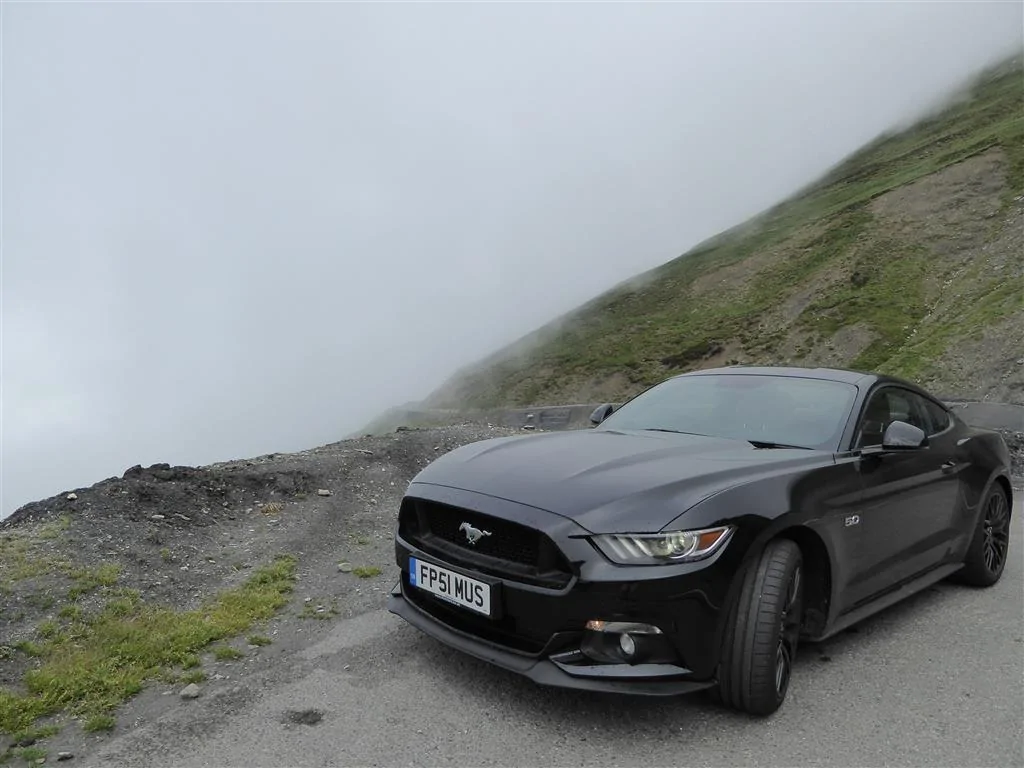 2016-06-22 Mustang Pyrenees P1010951 (Medium).webp