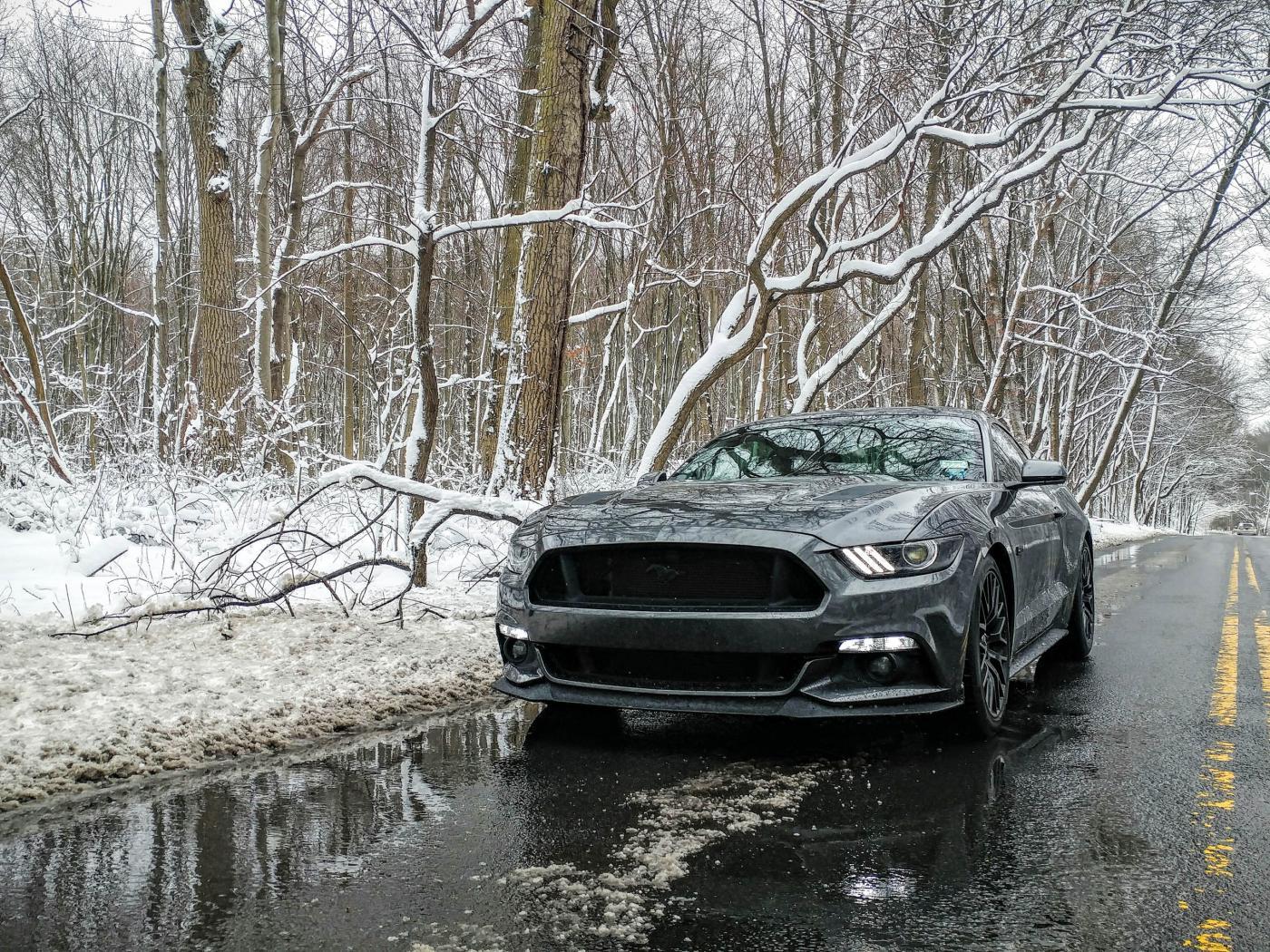 20170209_133343-2.jpg
