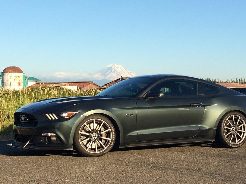 Mustang shoot1.jpg