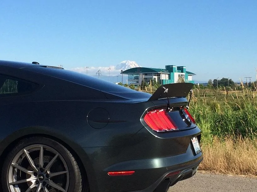 Mustang shoot.webp