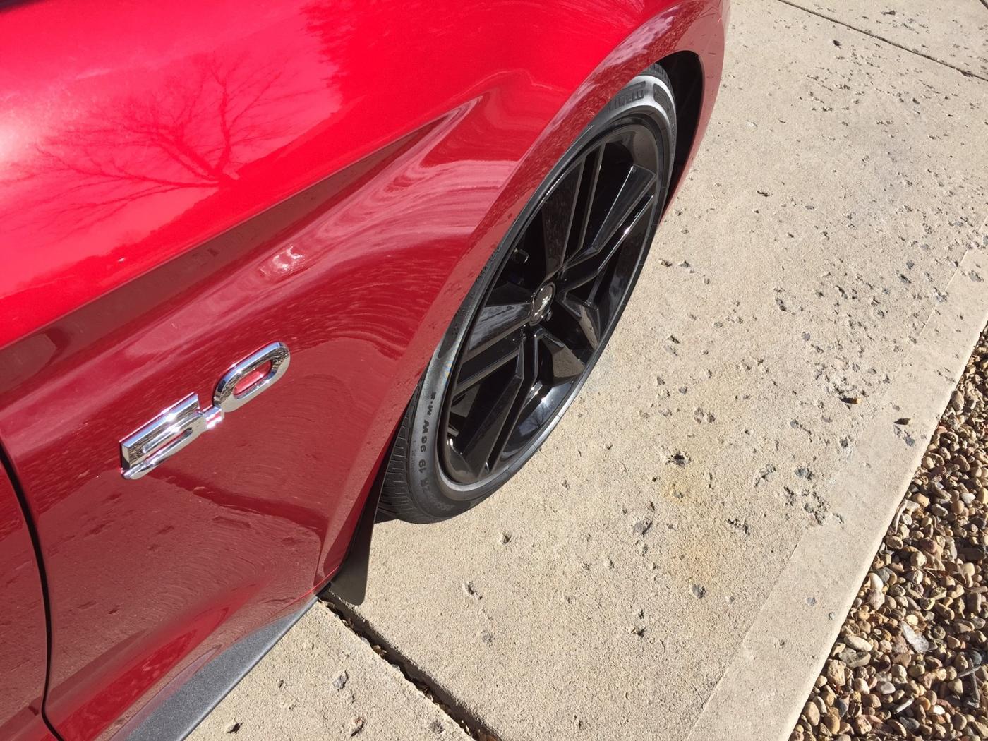 Rob car front mud flap.jpg