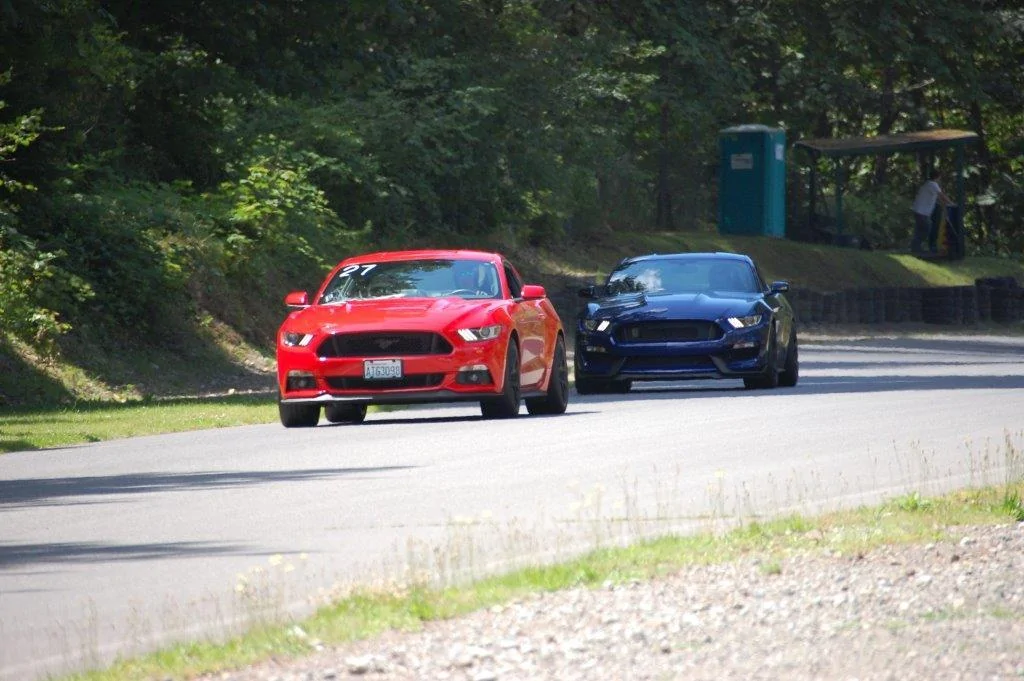 DSC_0330.webp