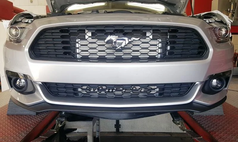 Mustang EB_R4.webp