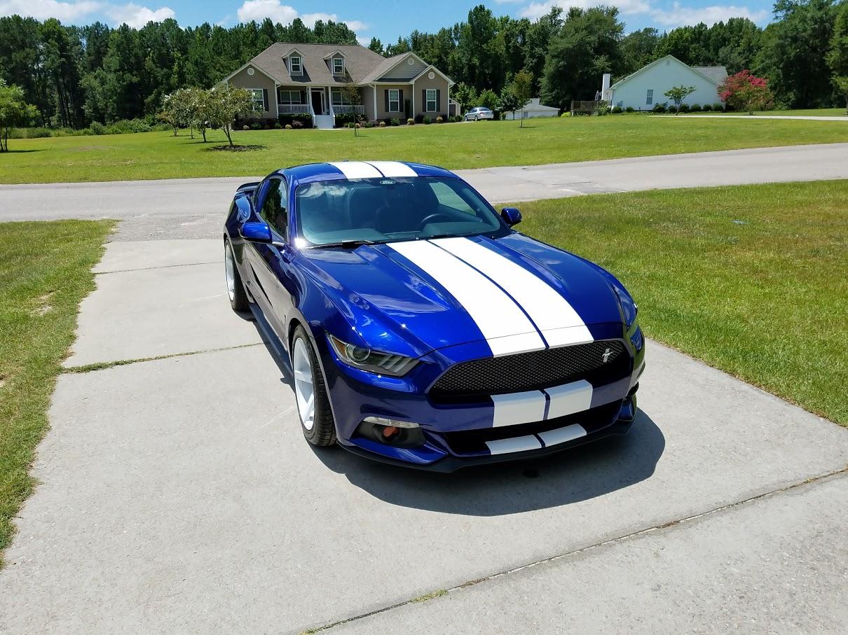 2015-passenger-front-high.jpg