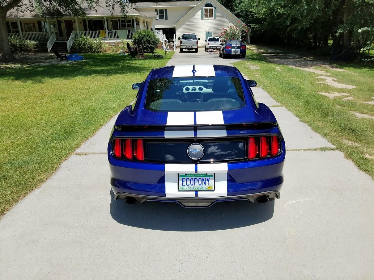 2015-rear-high.jpg