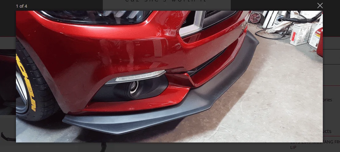 front lip.webp