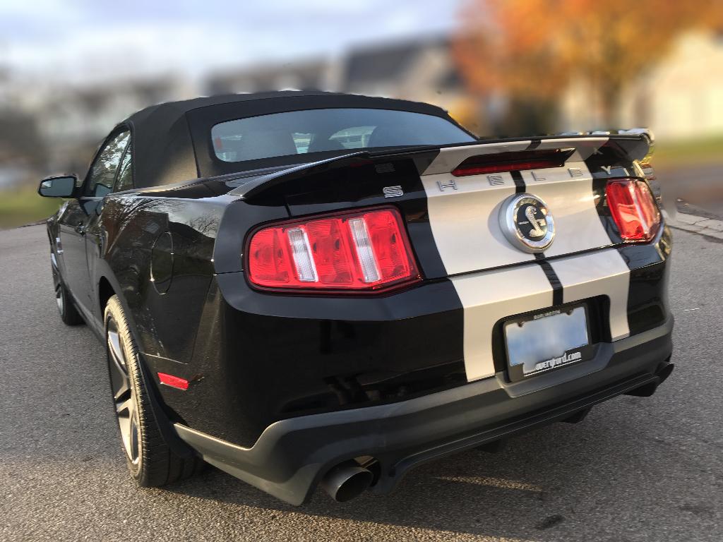 rear.jpg