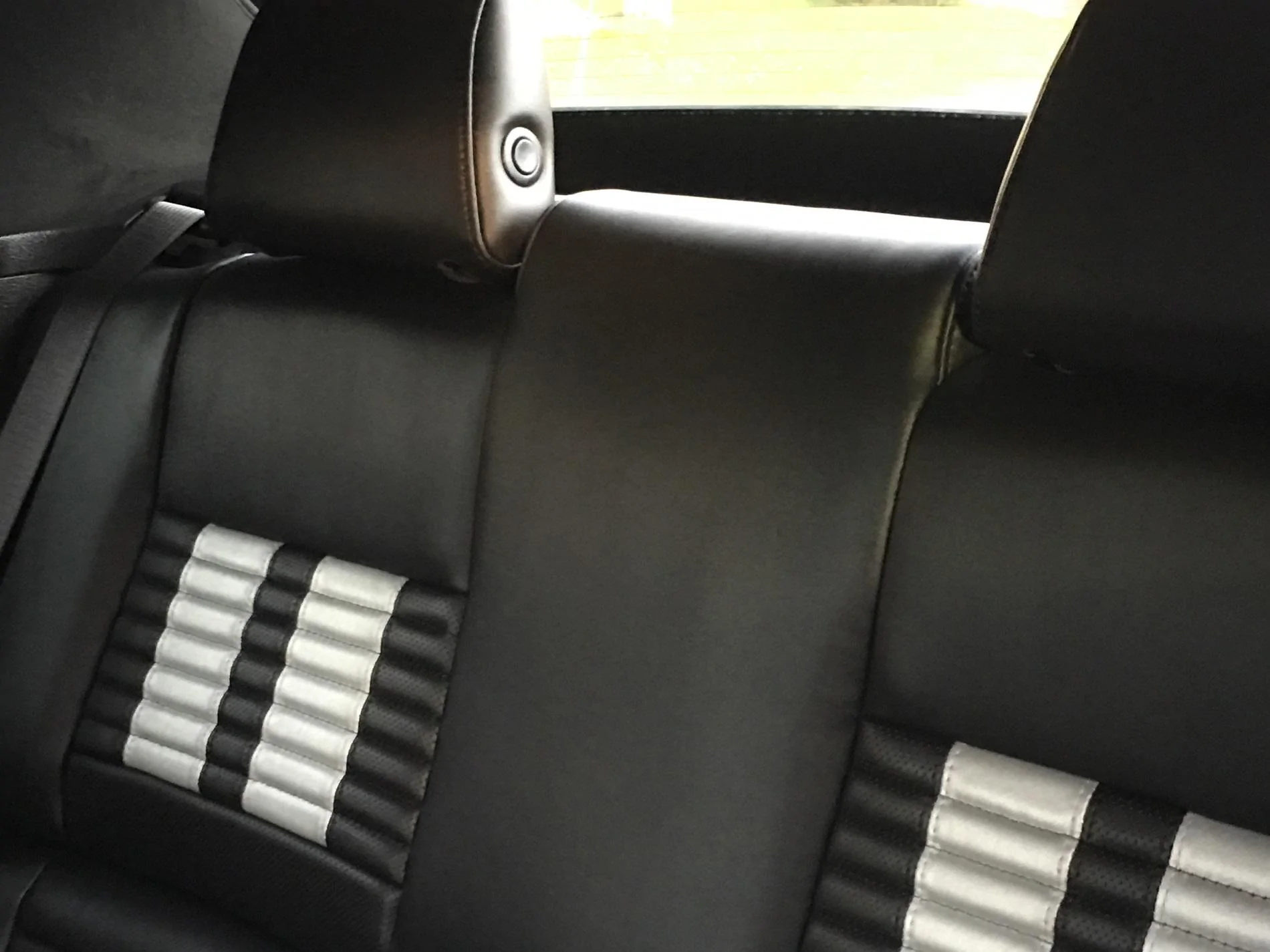 Interior - back.webp