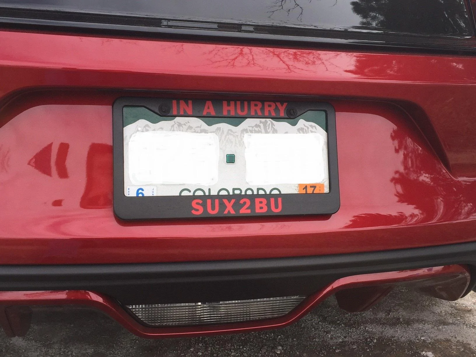mustang plate frame.webp