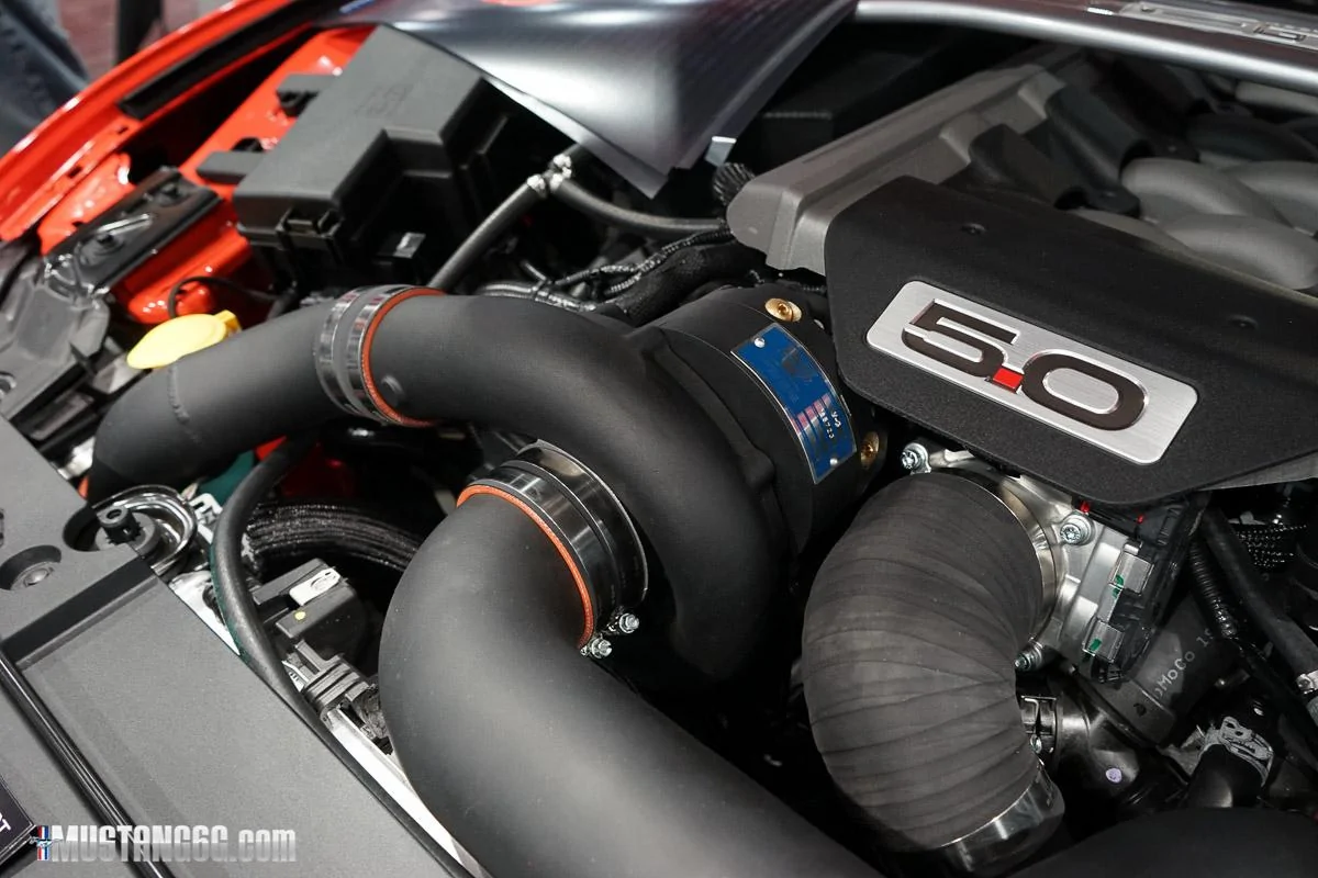 DSC05173.webp