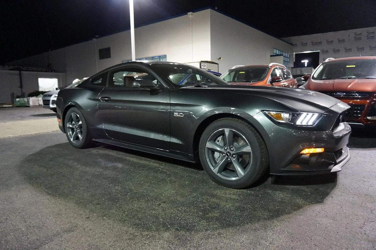 DSC01378_resize25.webp