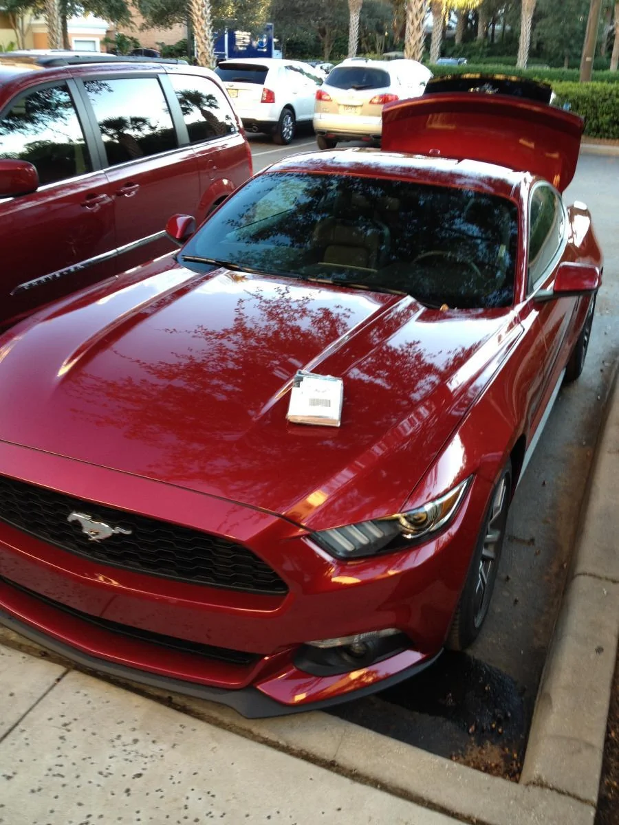 2015 EB Prem Rental.webp