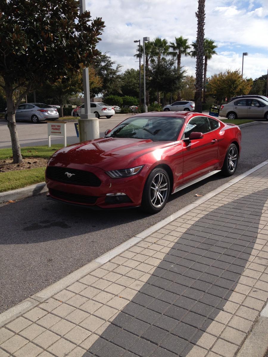 2015 EB Prem Rental 1.jpg