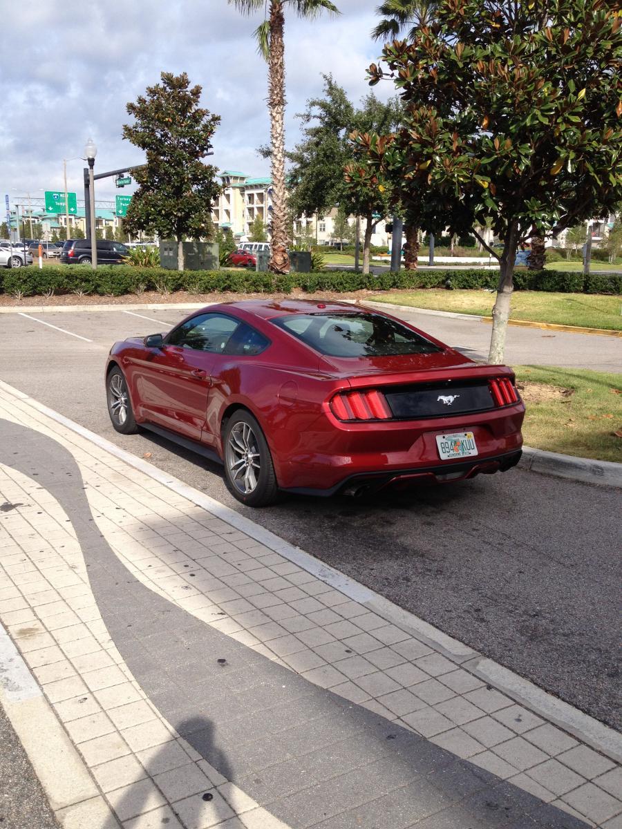 2015 EB Prem Rental 2.jpg
