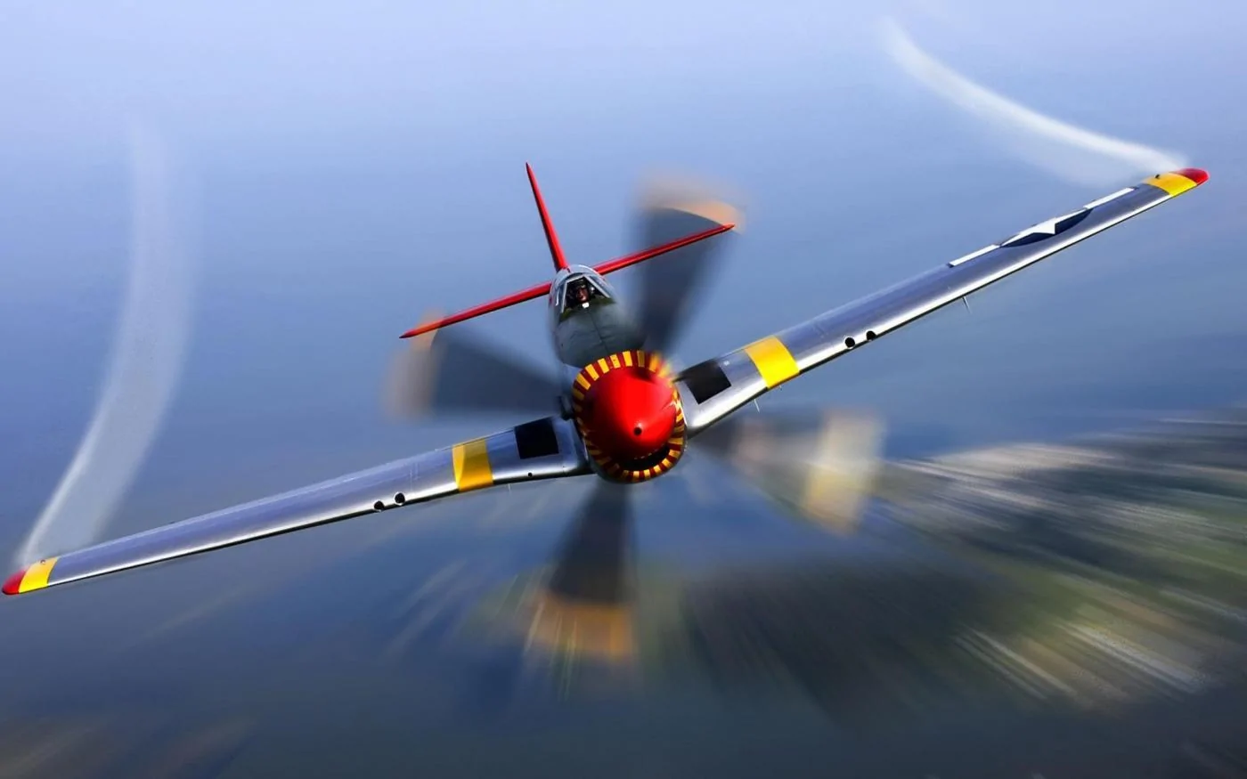 Mustang1.webp