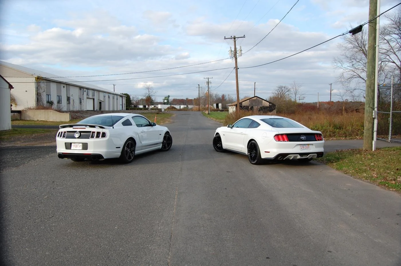 DSC_0252.webp