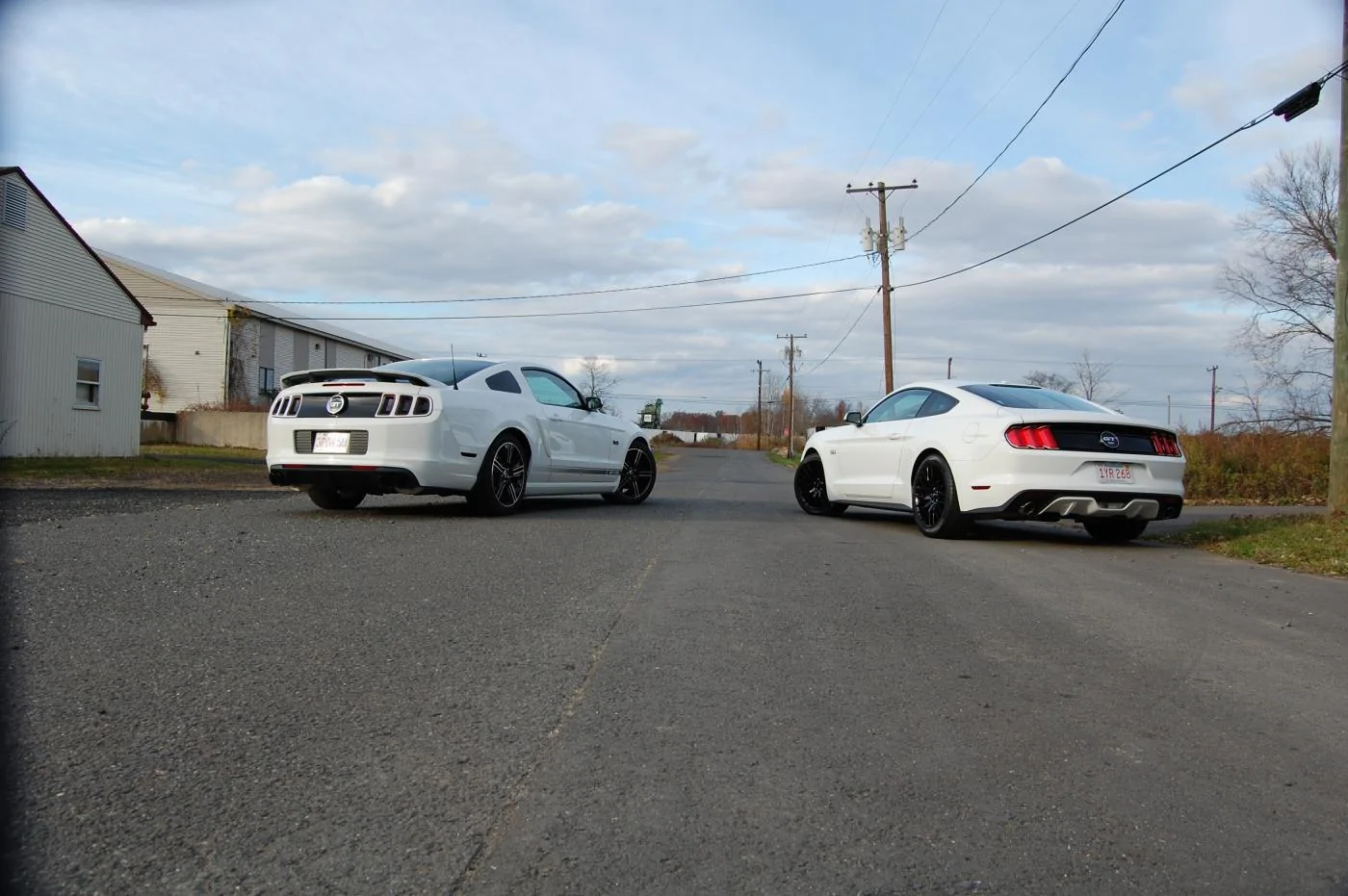 DSC_0256.webp