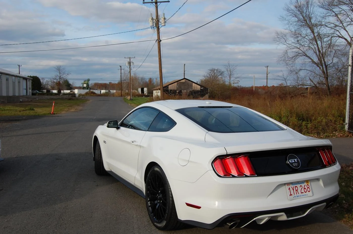 DSC_0228.webp