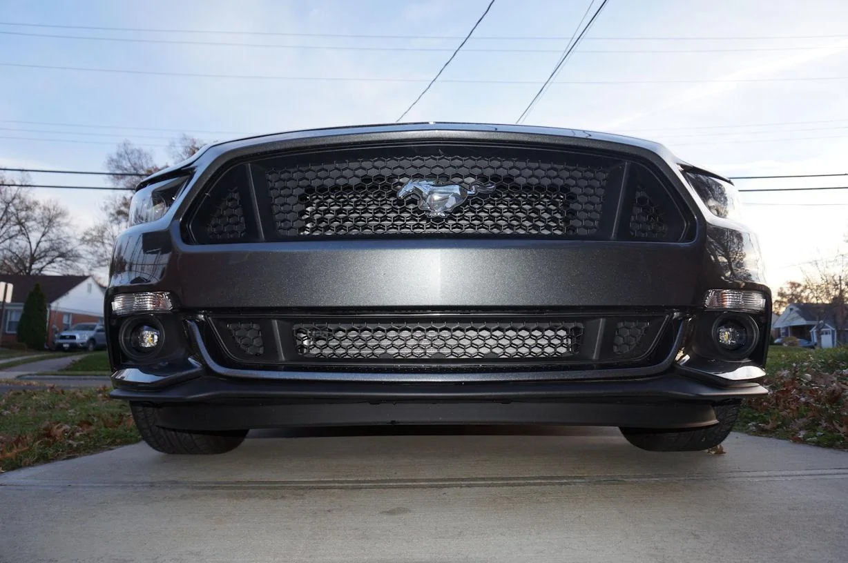 DSC01438_resize25.webp