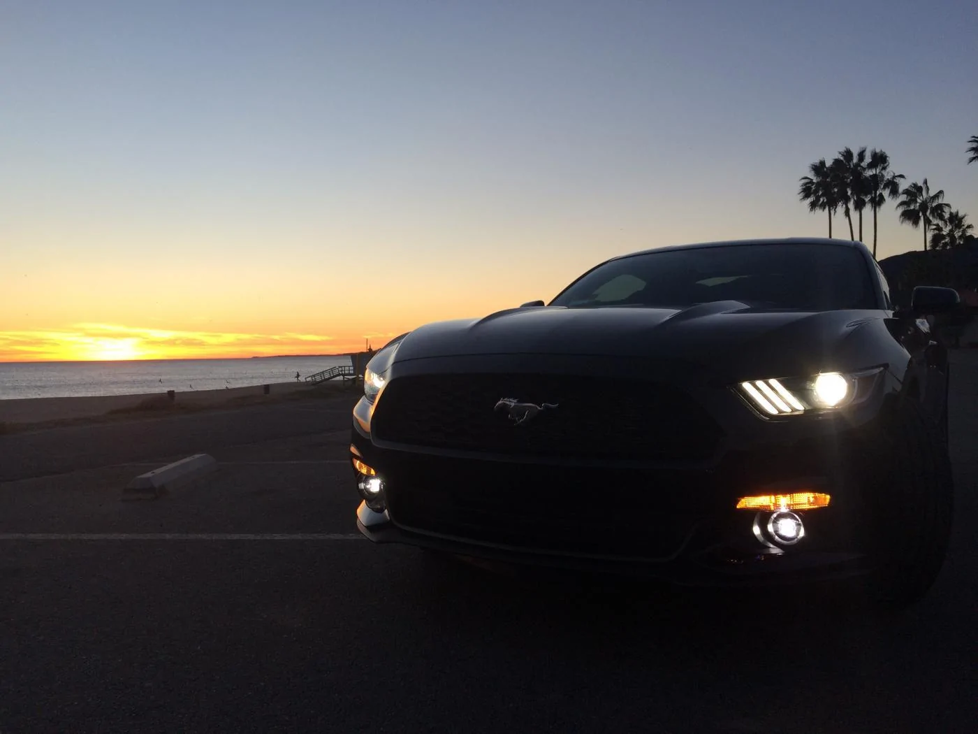 IMG_1981.webp