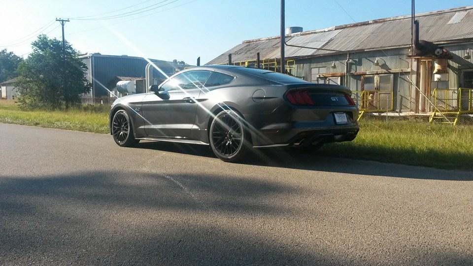 side pic.jpg