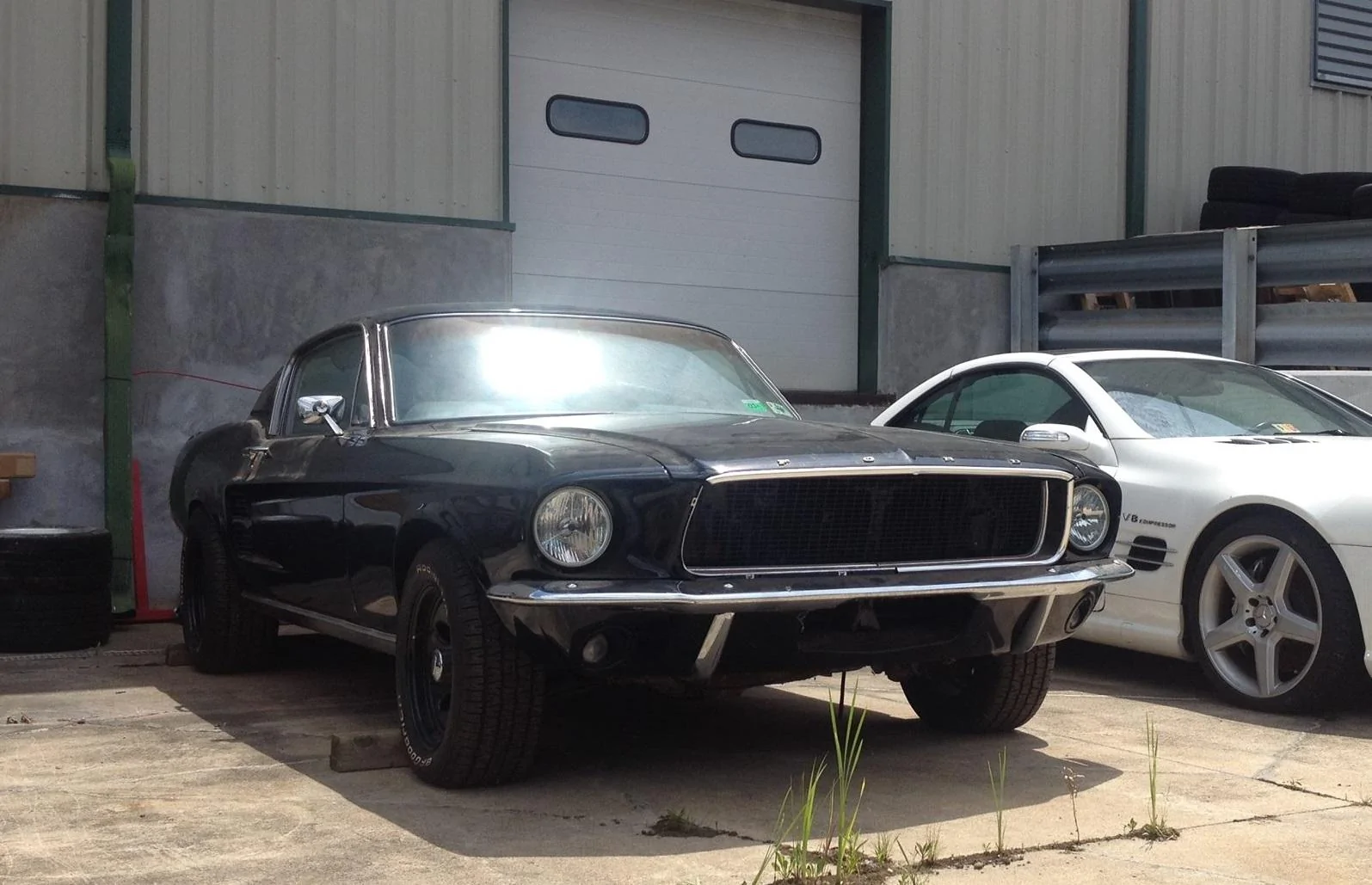 mustang 1.webp
