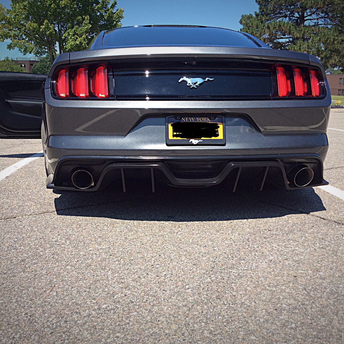 RenderedContent-B7E36135-F470-4E48-9936-A75418B1BCF1.JPG