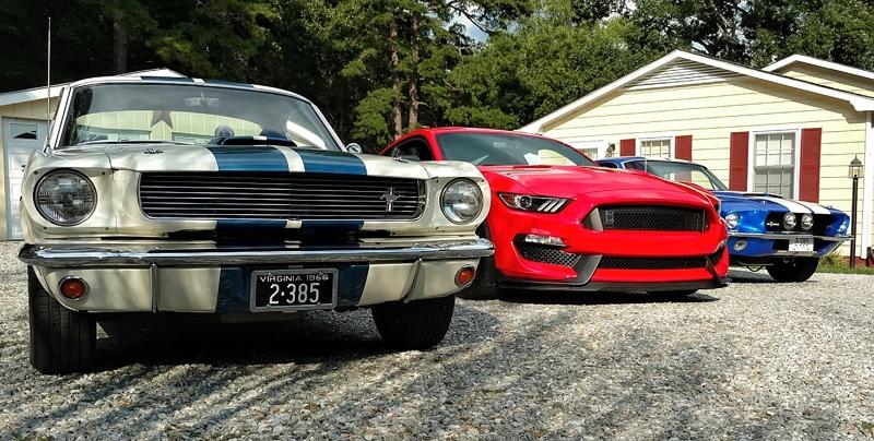 IMG_20170816_174206072-01-01.jpeg