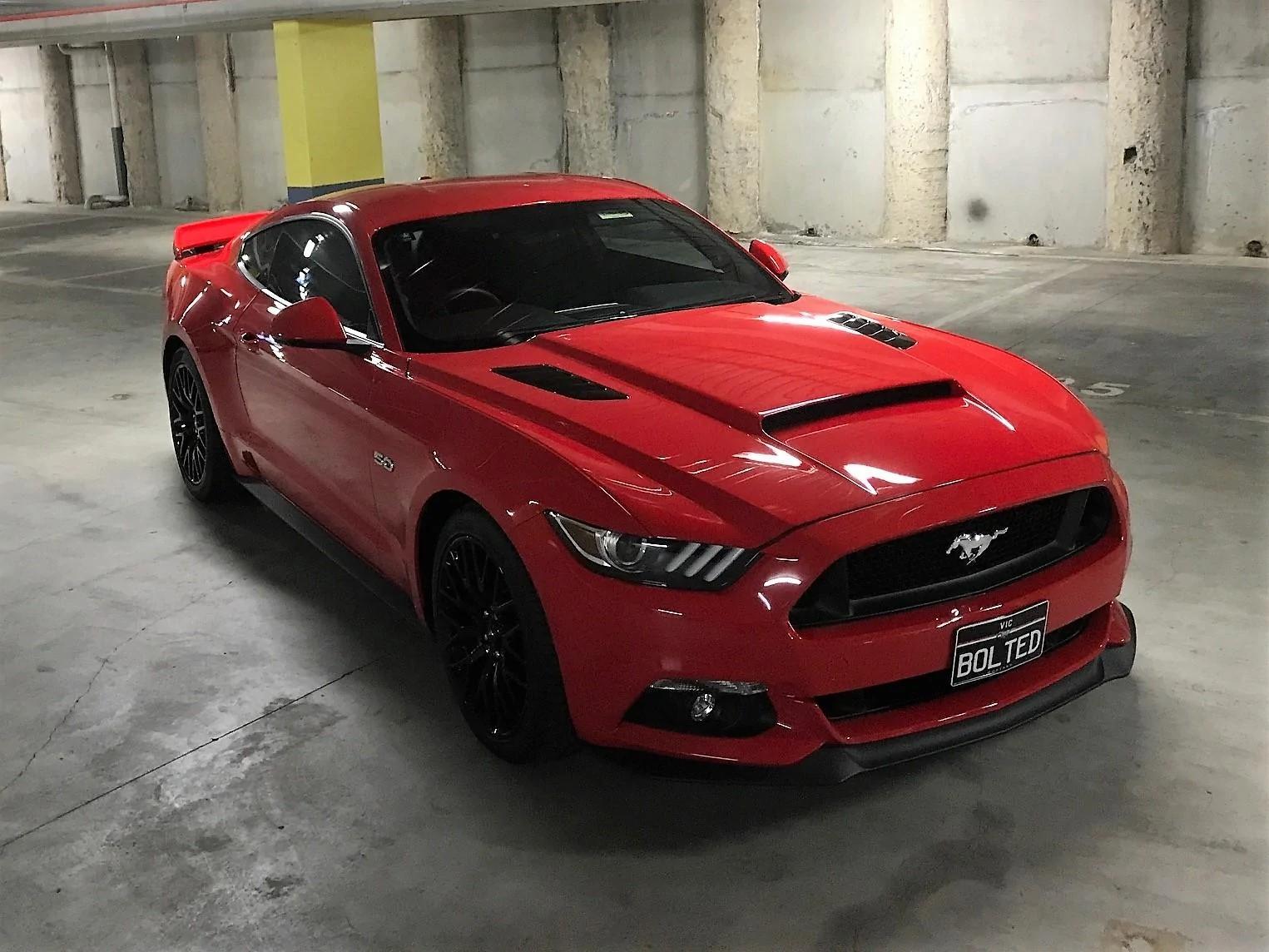 FEF IMG_1636.webp