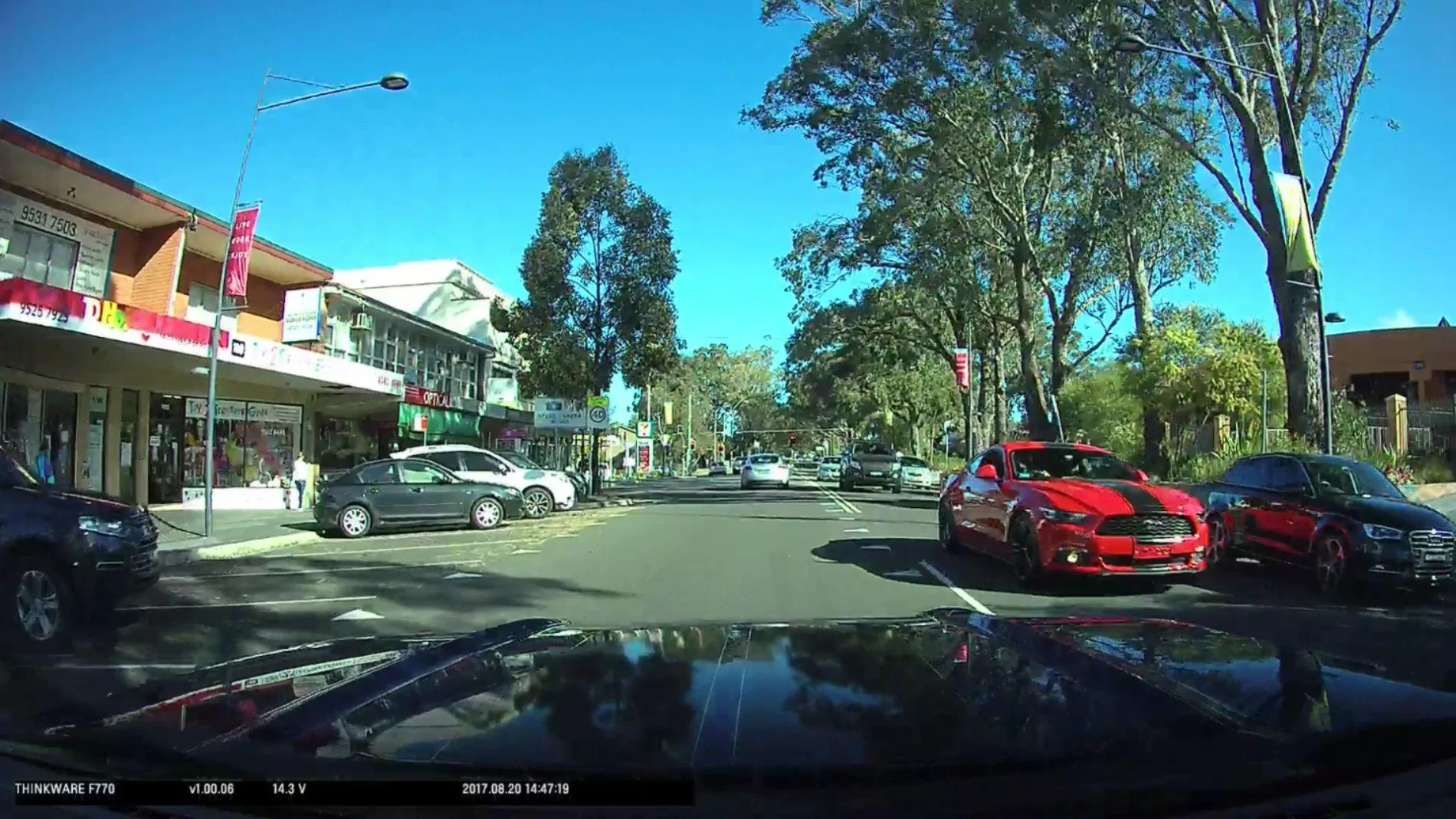 gymea.webp
