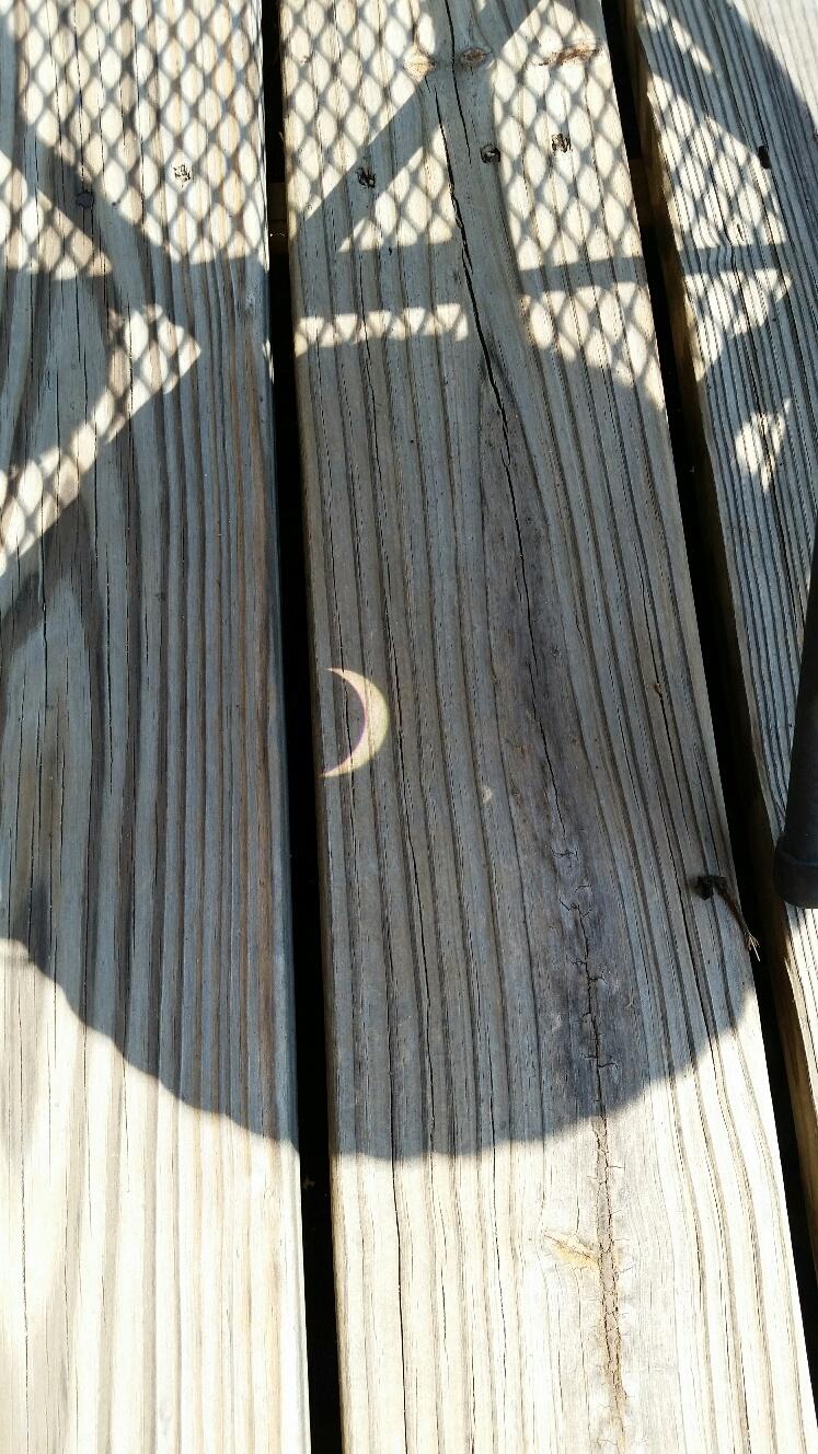 20170821_143857_1503364886407_resized.jpg