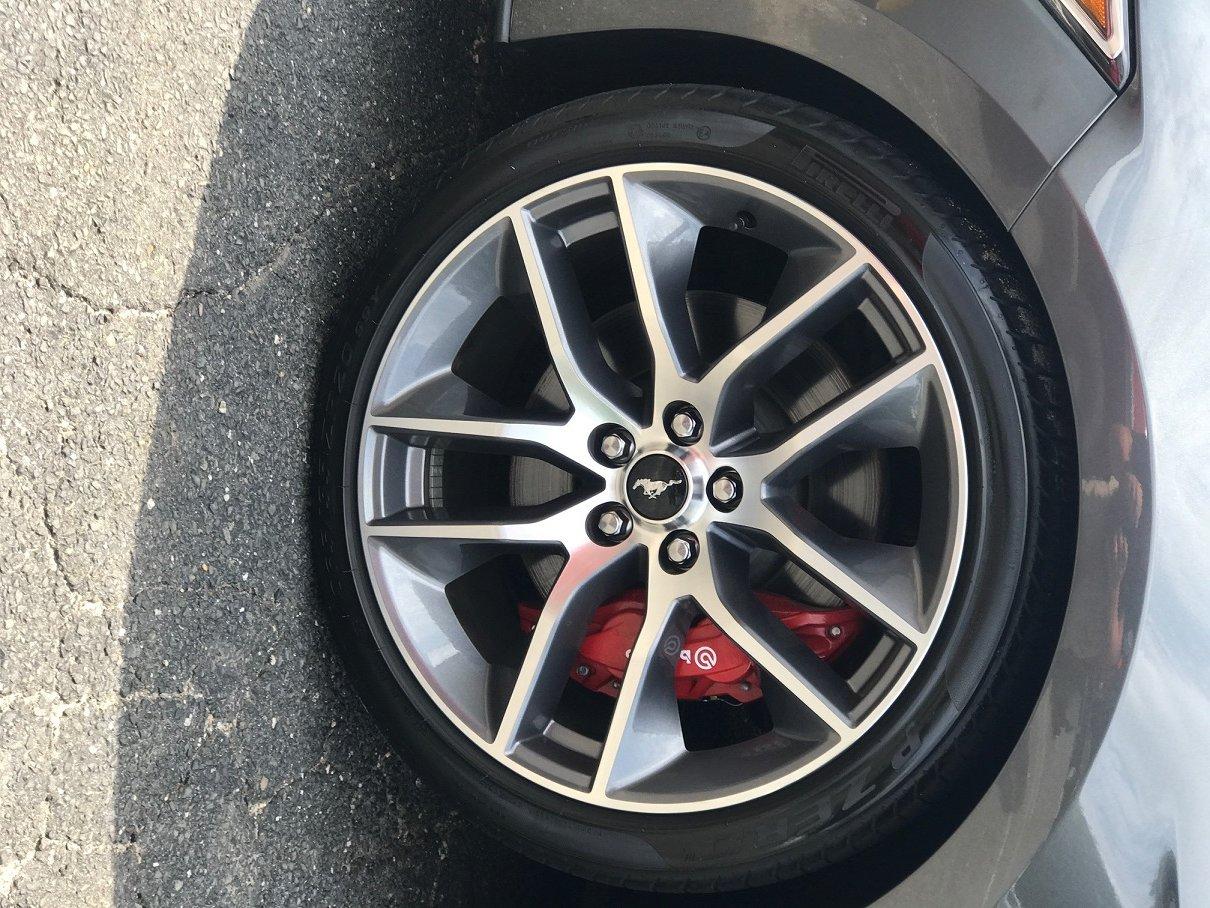 wheel.jpg