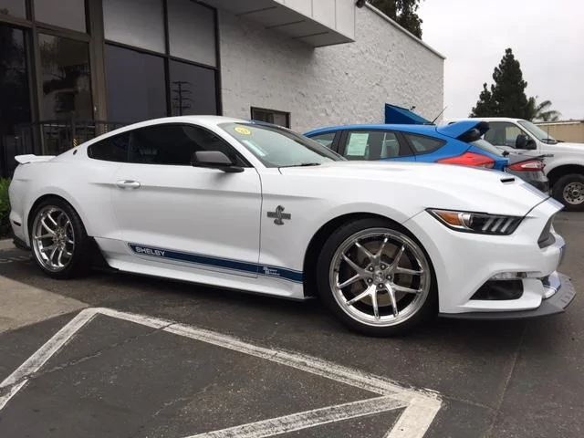 super snake5.webp