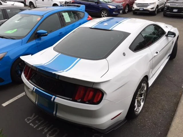 super snake.webp