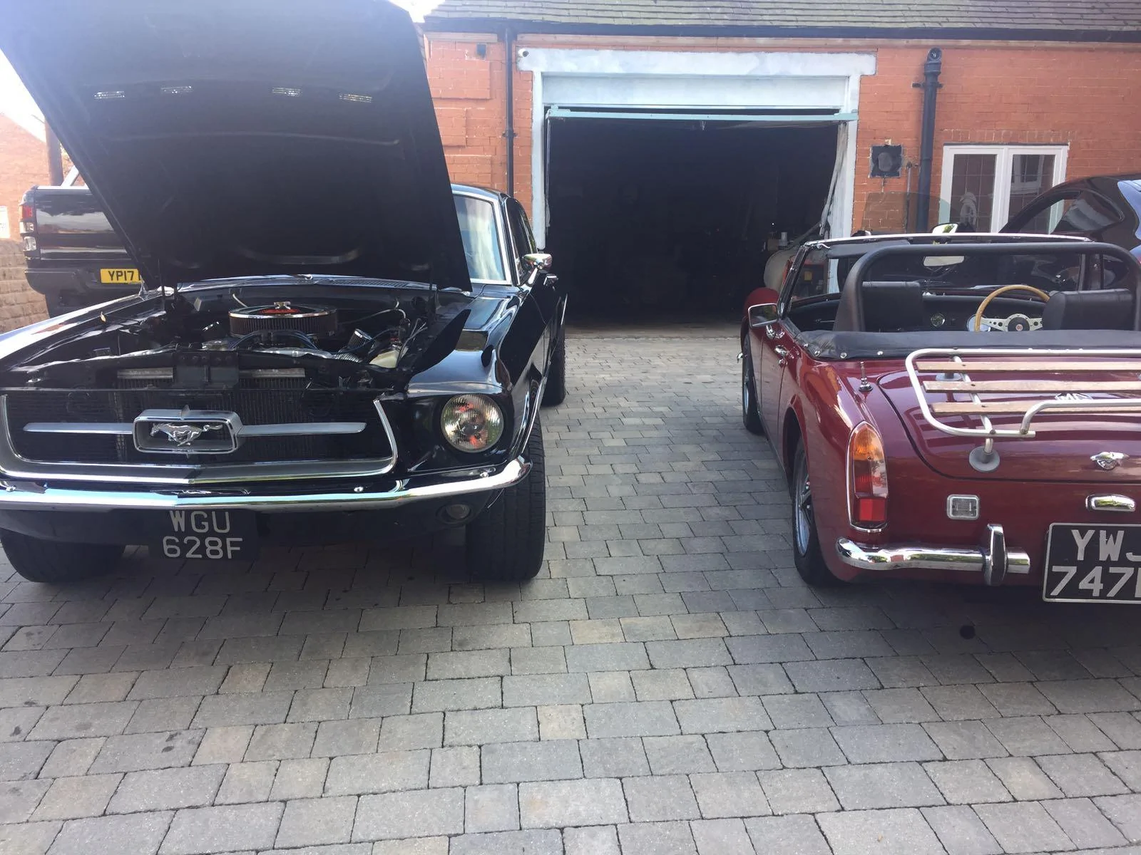 mustang and midget.webp