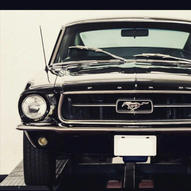 mustang1.webp