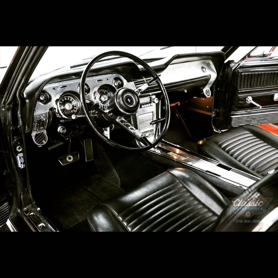 mustang 2.webp
