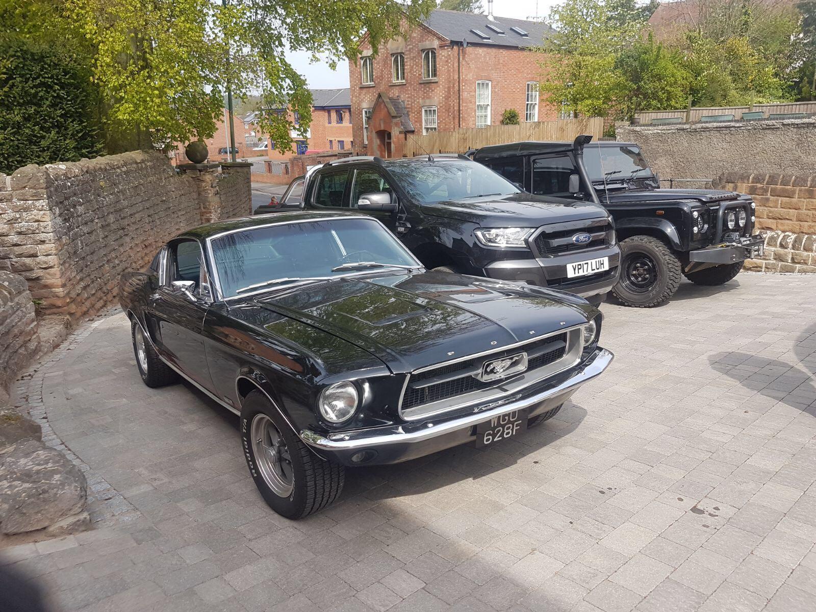 mustang 3.jpg