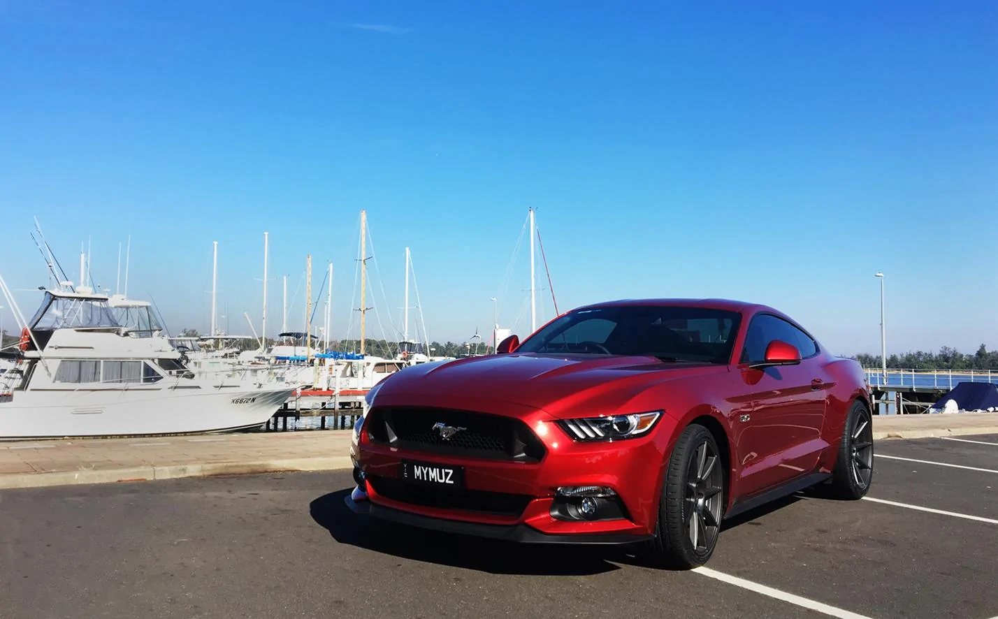 Mustang 5copy.webp