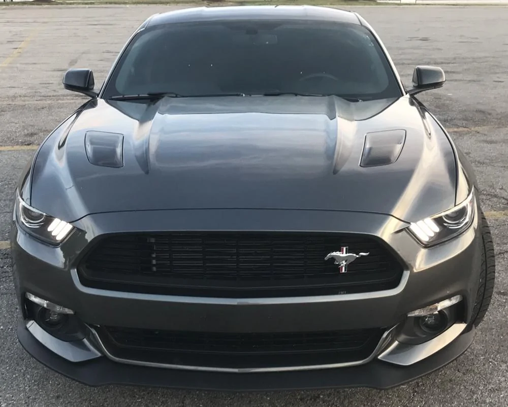 Mustang 4.webp